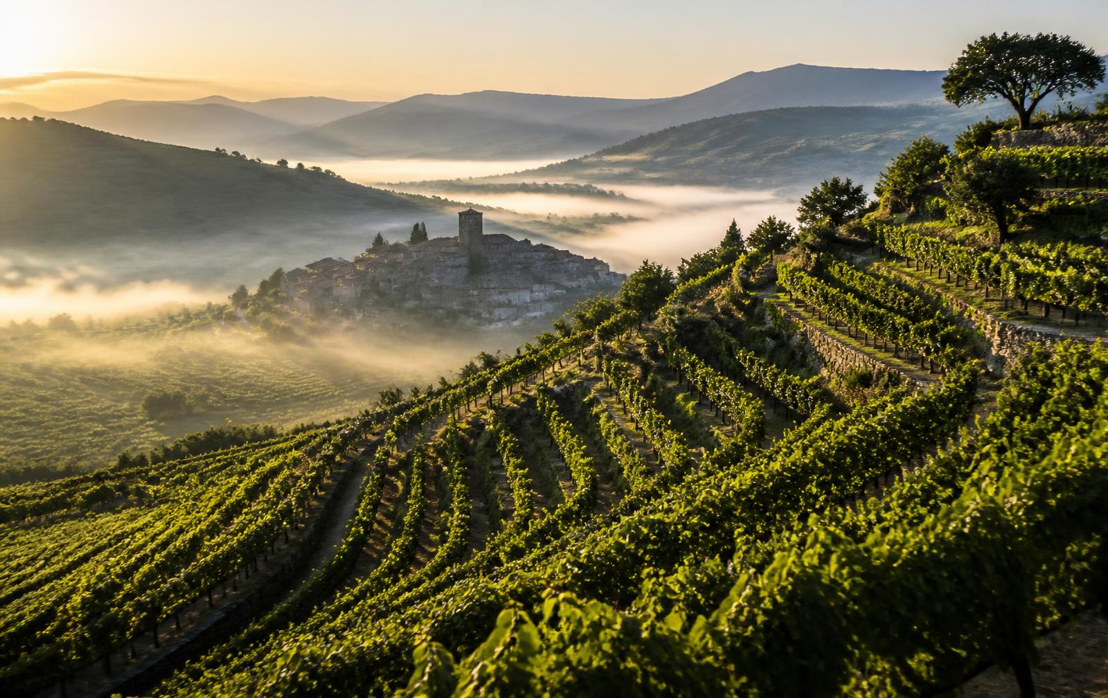 Vignobles en terrasses et village de pierre dans la brume matinale, Europe